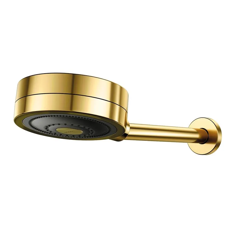 Chuveiro de Parede Technoshower 90012048043 Ouro Polido - Docol